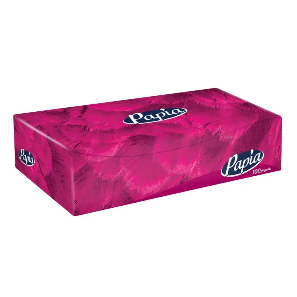 Papia Papiertücher Box 100X24